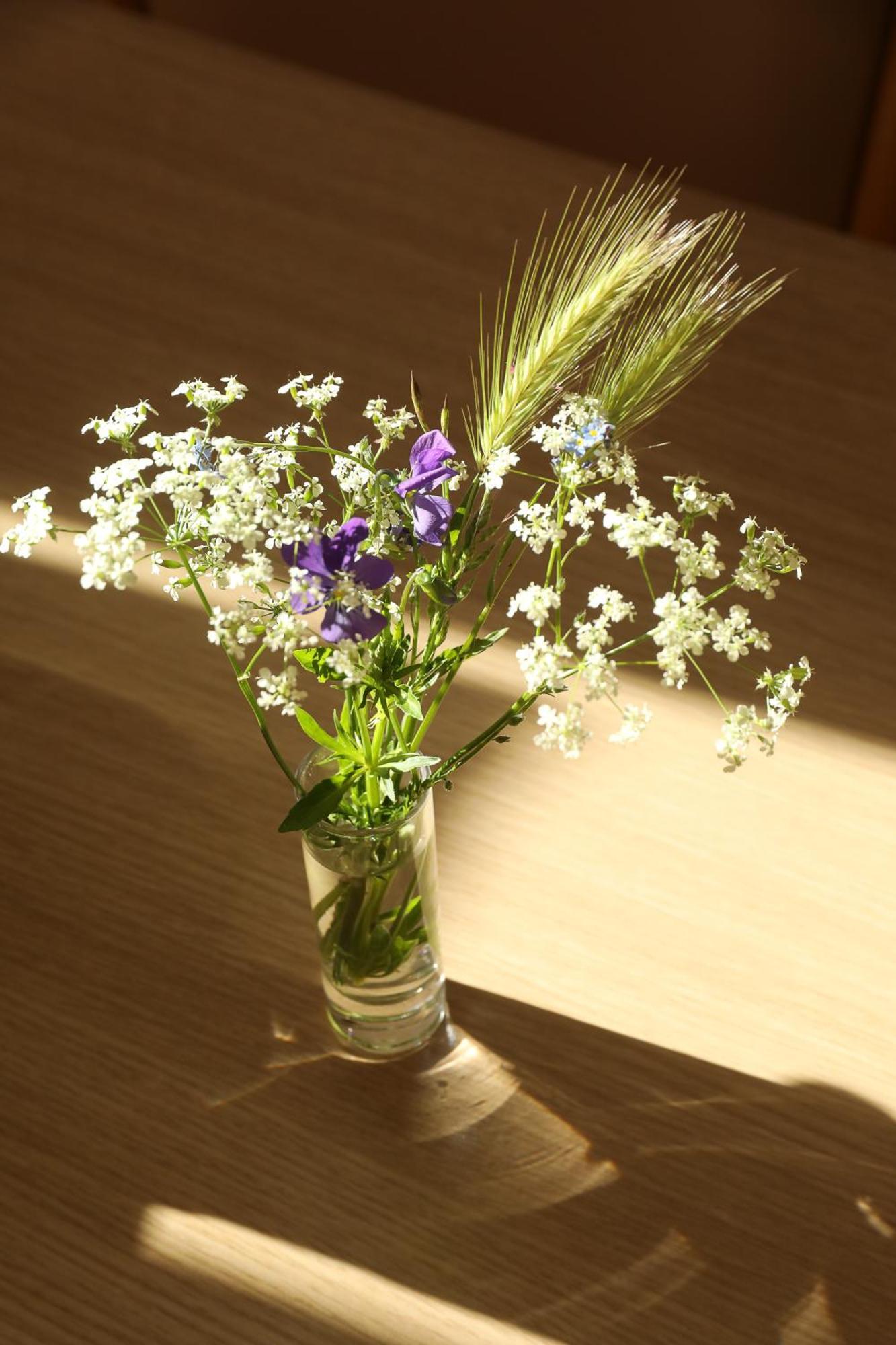 Logis Hotel Spa Restaurant Le Provence Lanarce エクステリア 写真