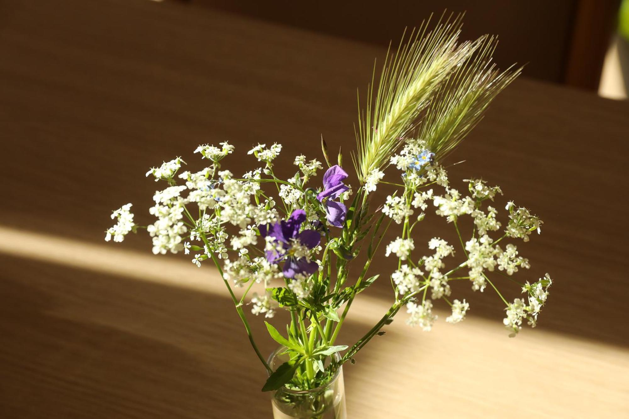 Logis Hotel Spa Restaurant Le Provence Lanarce エクステリア 写真